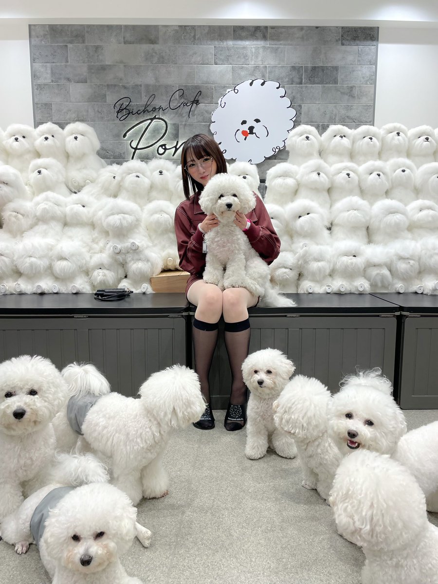 屋外表札「飯島」ビションフリーゼ 表札 犬シリーズ200 ビションフリーゼ 表札・ネームプレート TN