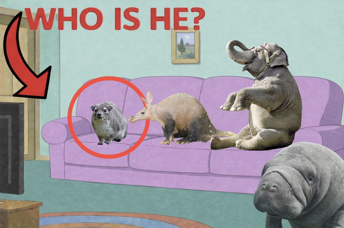 Evill nut tweet media