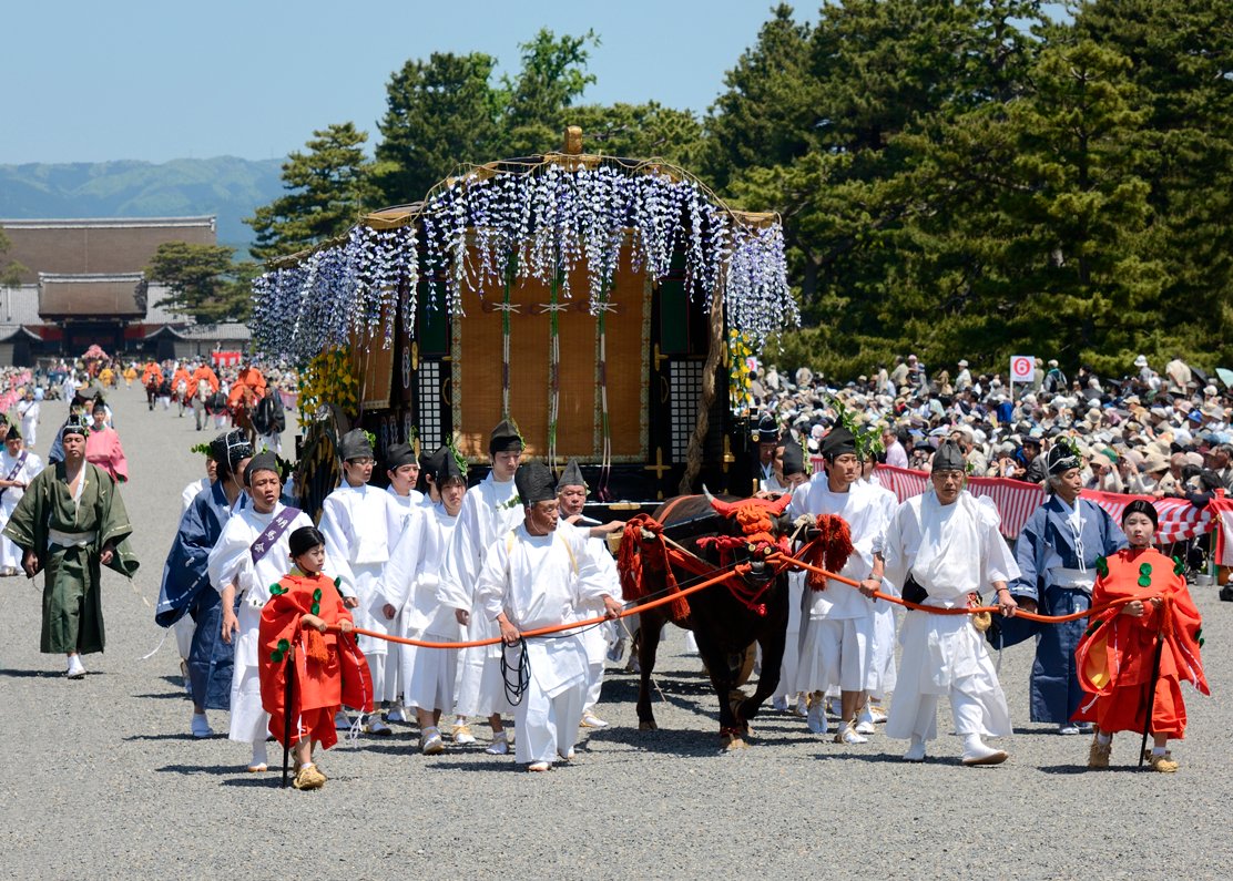 京都観光Navi《京都市観光協会》 tweet media