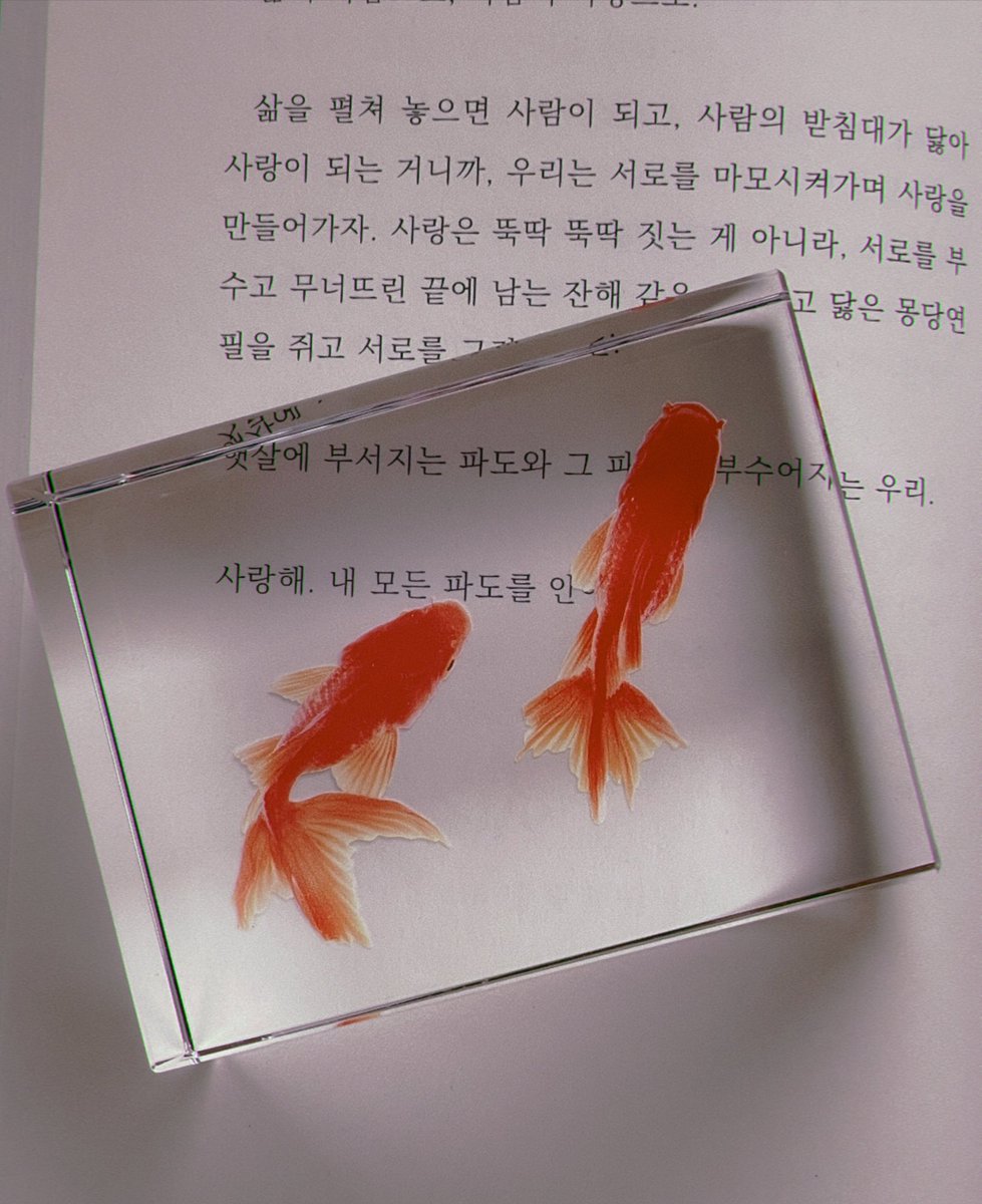 프로젝트 온도 tweet media