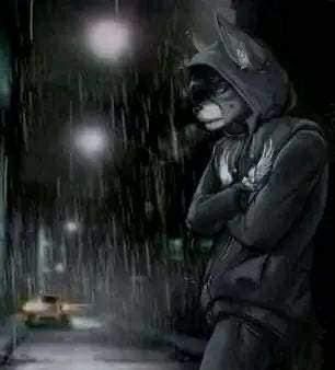 How i feel being the only Turkish supporter on Neko Bueno's patreon