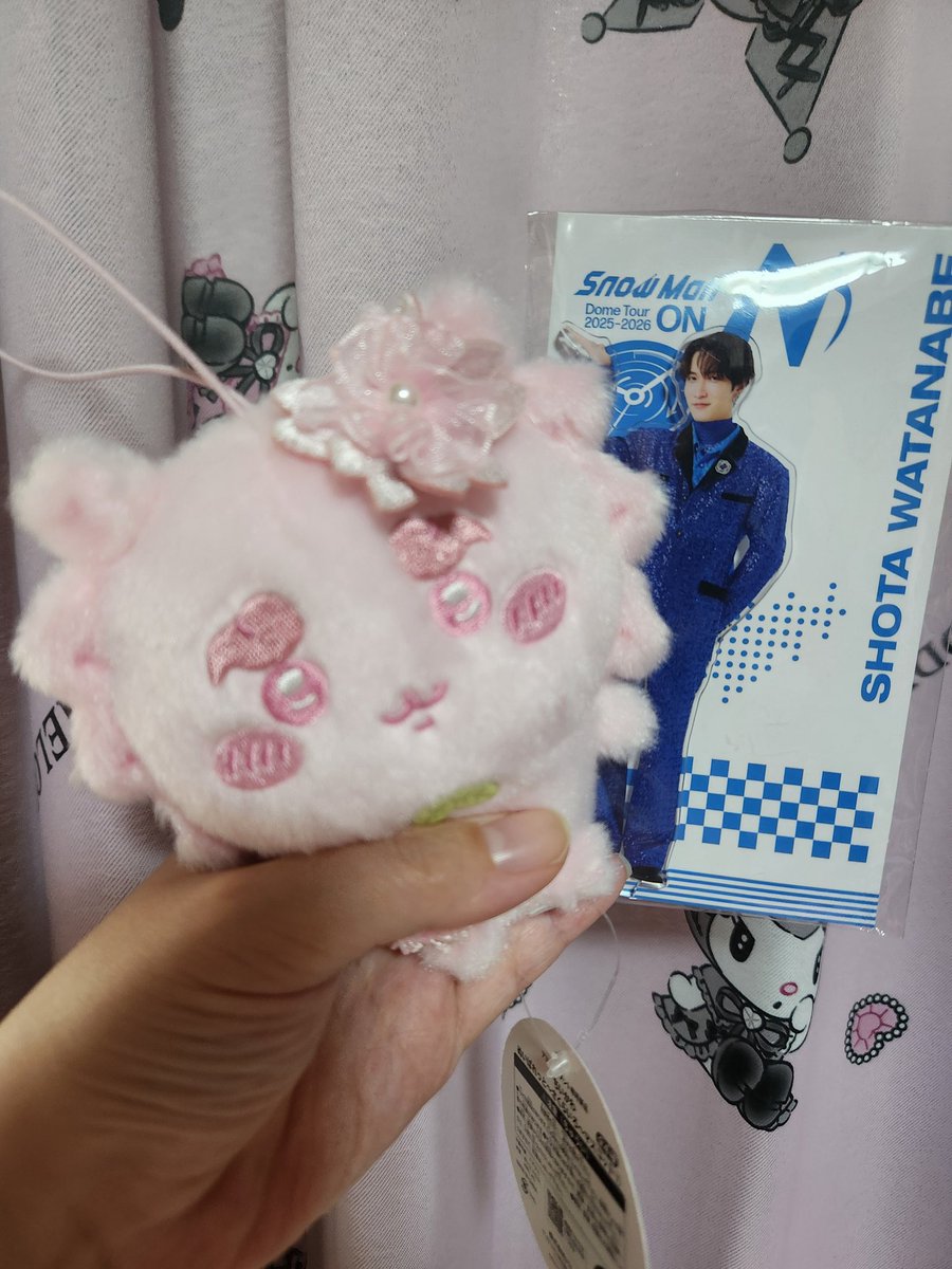 あんちゃん🐈💚💙 tweet media