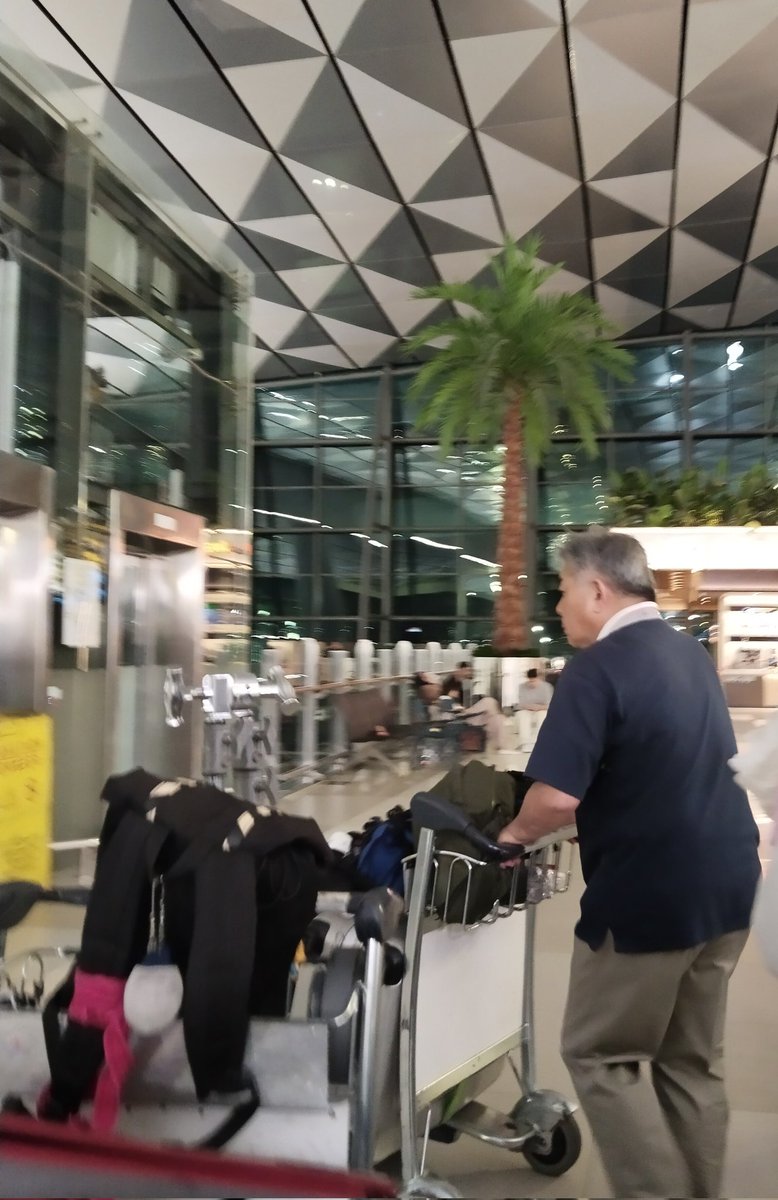 humansboried tweet media