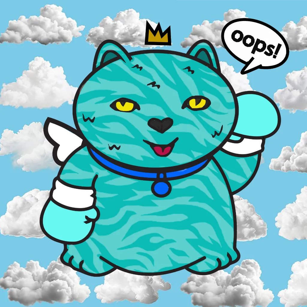 Turbito 🥊 tweet media