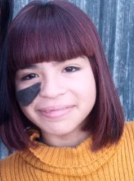 desaparecidas argentina tweet media