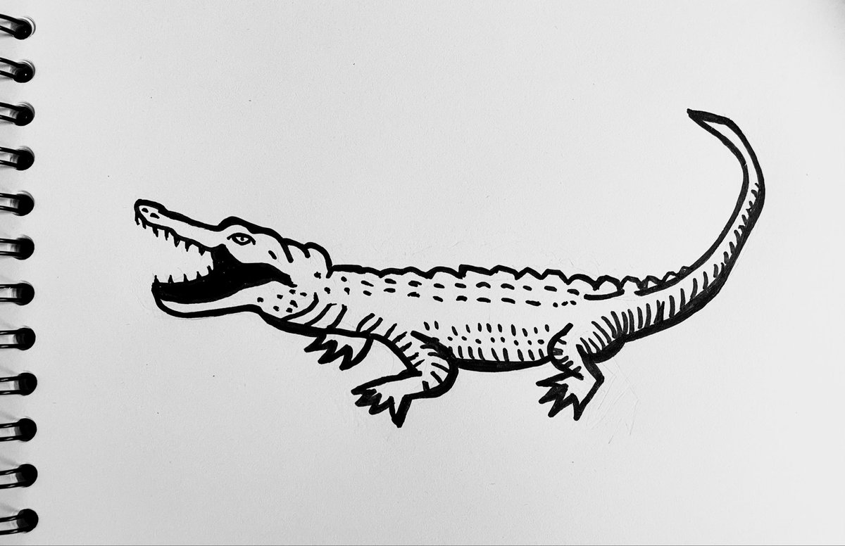 neopastelove's tweet image. Morning illustration : Alligator 
#イラスト #線画 #lineart