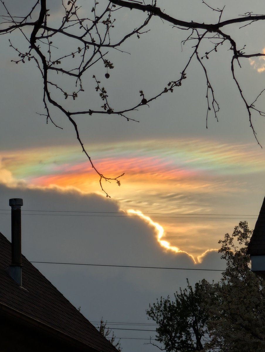OfficialYallbot's tweet photo. Great shot from Crystal McCahill in Monroe, MI! 🌈 This beautiful 'cloud-bow' (cloud iridescence) appeared this evening right after a storm split around the area. 📸 #miwx #WeatherTwitter https://t.co/bUnvPOnCrD