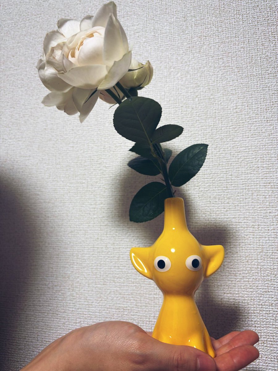 star_snL's tweet photo. 2026.4.16
パートナーシップ結びました💐💍

記念日に買ったピクミンの一輪挿し🌹可愛すんぎ！！ https://t.co/4KHDnhORdP