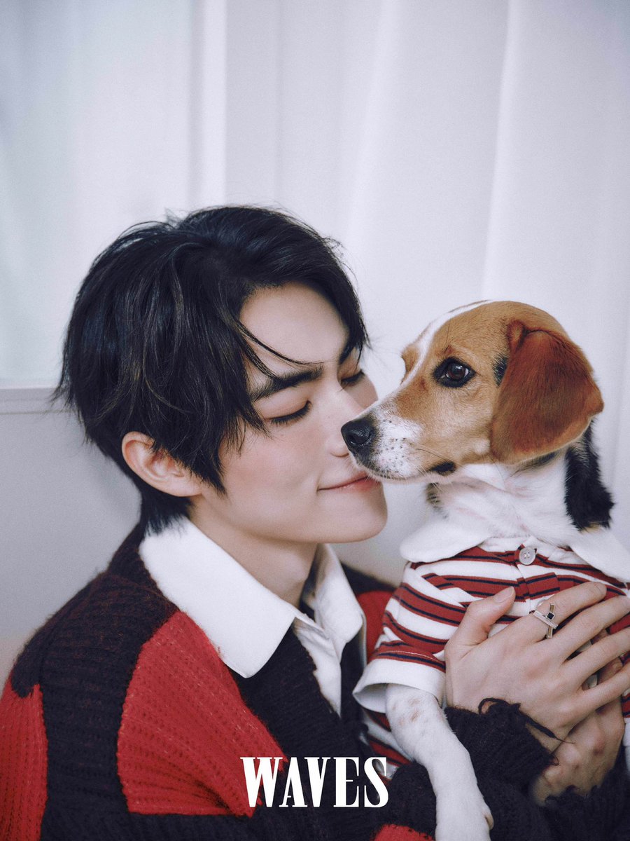 Happy National Beagle Day 🐶❤️ #XIAOJUNxWAVES #XIAOJUN #肖俊