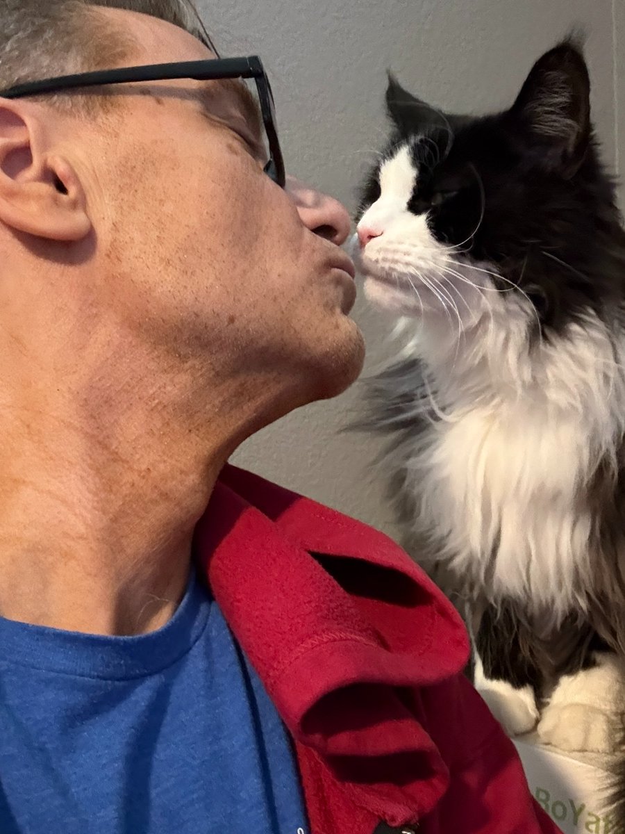 The Why Files tweet media