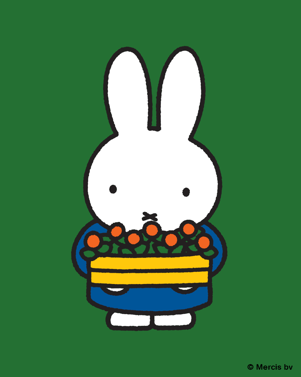 MiffyOfficialUS's tweet image. Happy Earth Day!! 🌻🌼🌹🌷🌎

#miffy #cute #bunny #nijntje