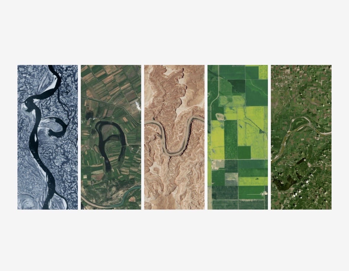 Paula Guerra tweet media