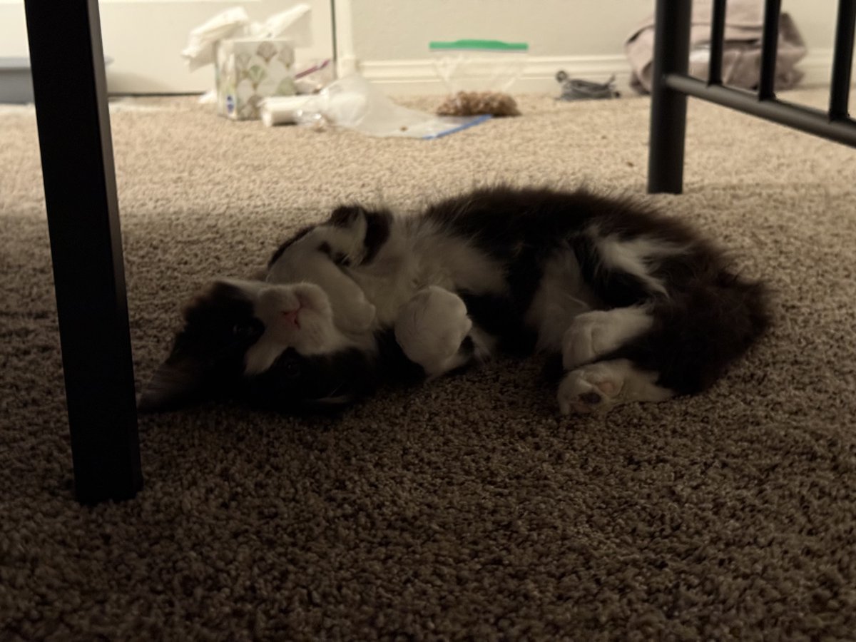 The Why Files tweet media