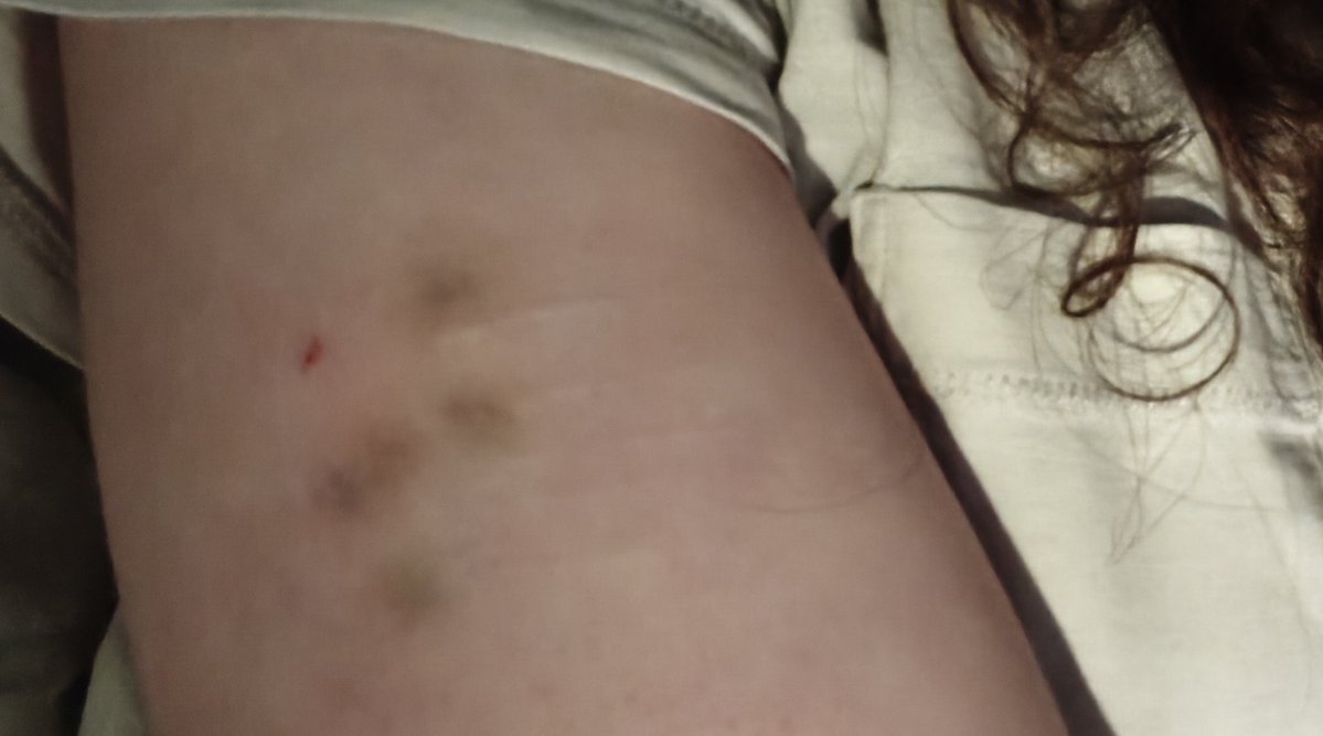 alice (@soulturntred_) on Twitter photo 