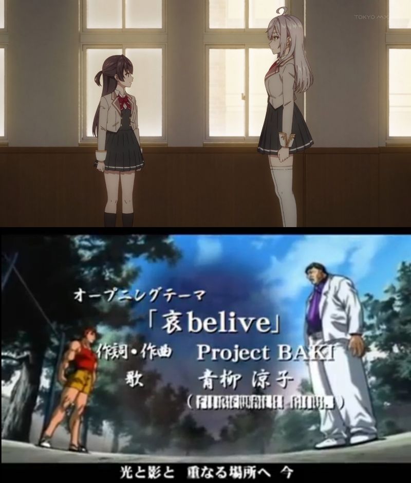 Animefan_Cat