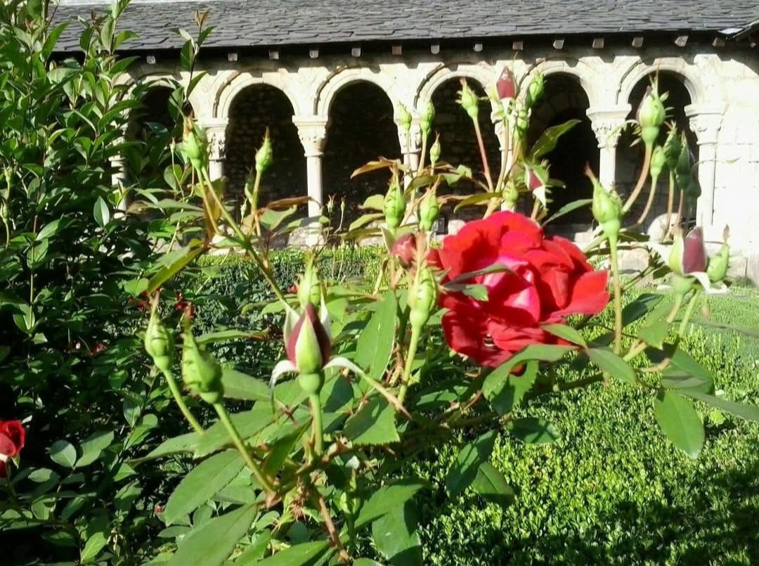 Pyrenne_EAMAG's tweet photo. El roser, símbol de Maria, al claustre matern de Santa Maria d'Urgell.
Un petó i una rosa al cel 🌱
@PyrenneEAMAG #uncelalaterra https://t.co/5dxbgA6Ms2