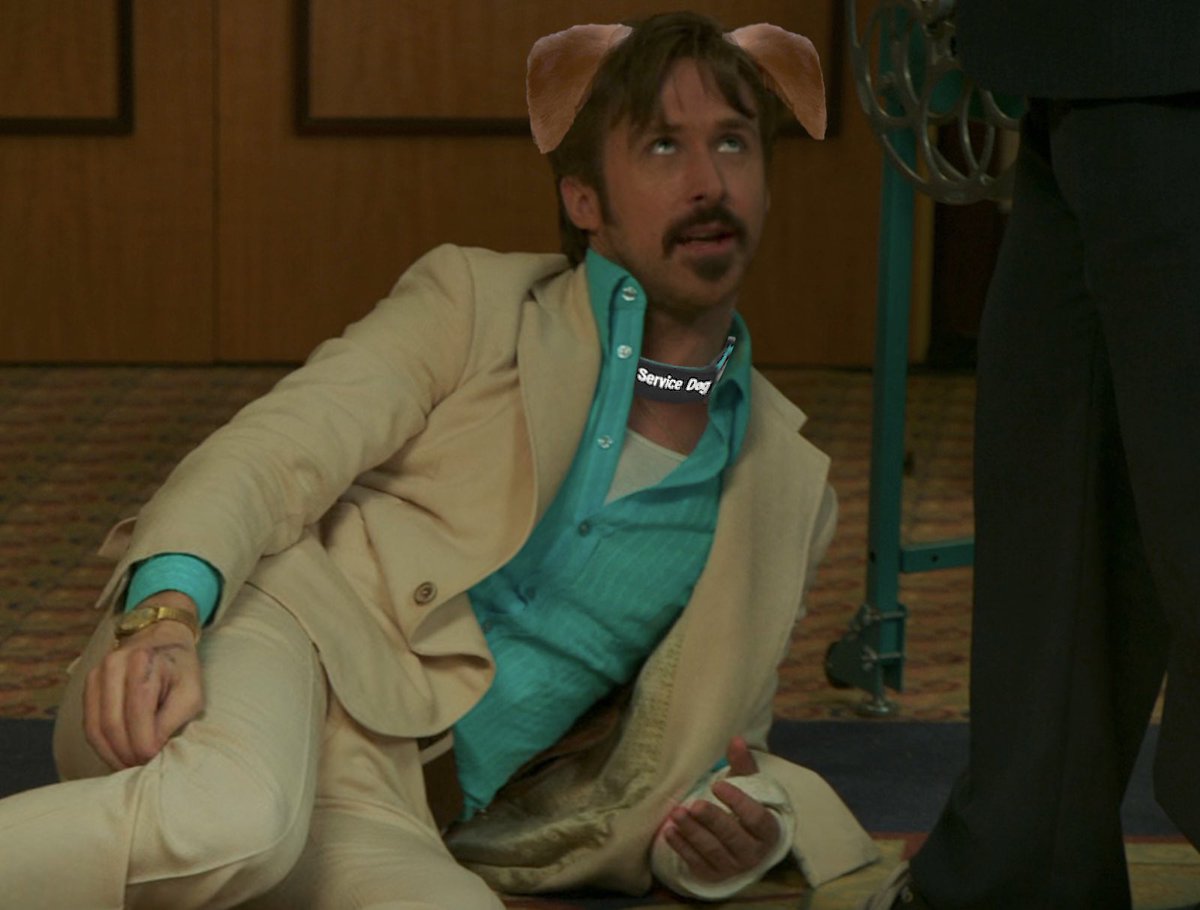 more puppy holland march bullshit i guess