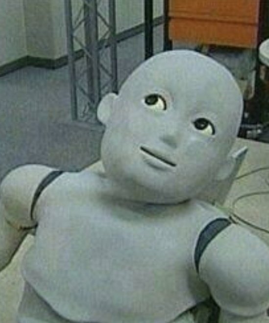 능눙늉 tweet media