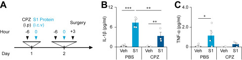 evelio_prieto's tweet photo. Más sobre el ataque cerebral Sars2
🔺🔻🔺LA SUBUNIDAD S1 DE LA PROTEÍNA S DEL SARS2 INDUCE NEUROINFLAMACIÓN
🧵1⃣Artículo de 4 investigadores de Corea del Sur
https://t.co/SNMmtOmHC9 https://t.co/wIho3WMDRv