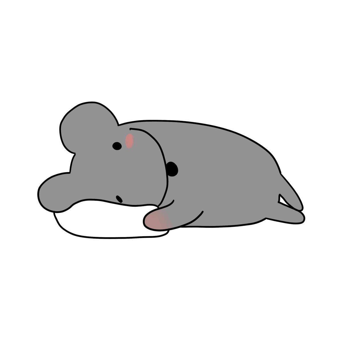 데굴쥐 tweet media