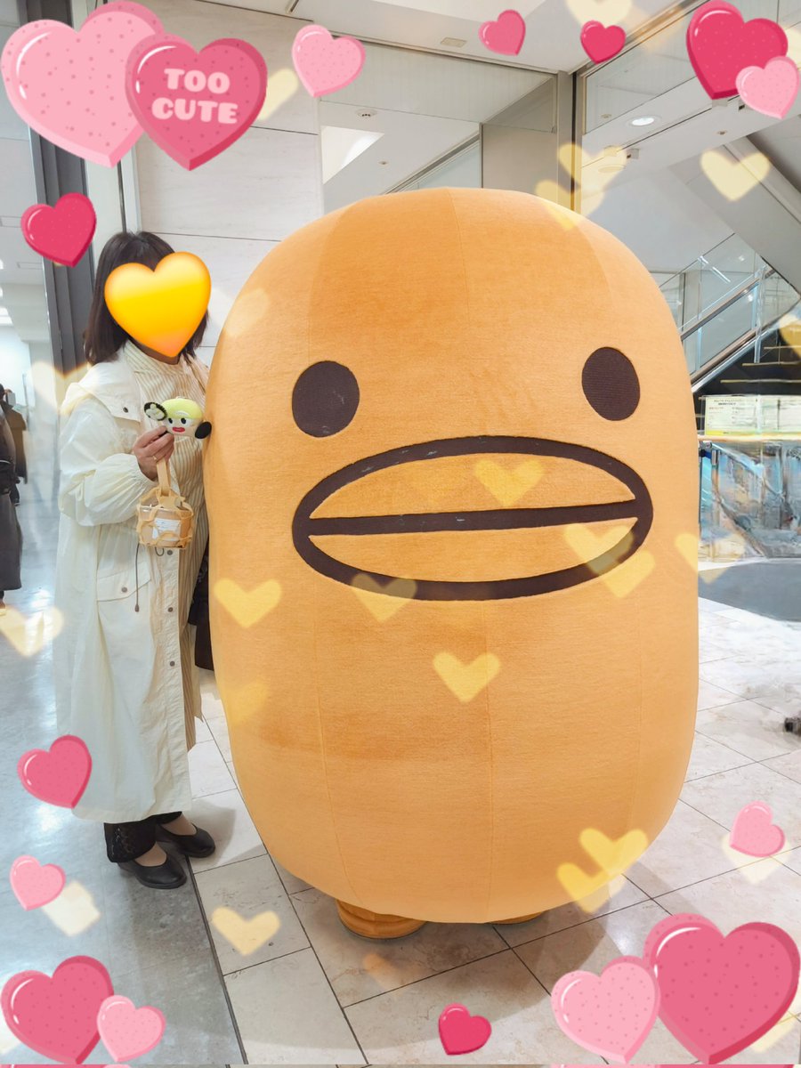 キャン. 💛 🌈 tweet media