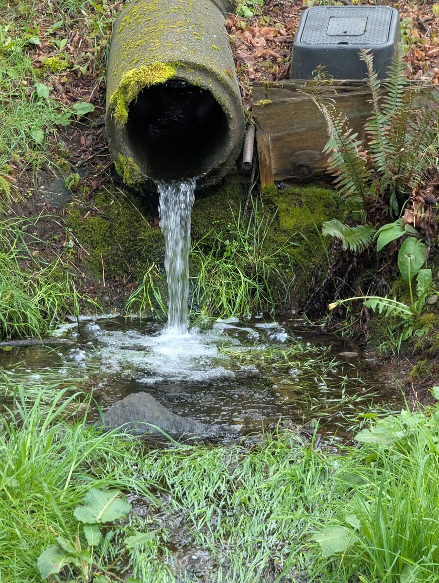 Shawty know I'm gay tweet media