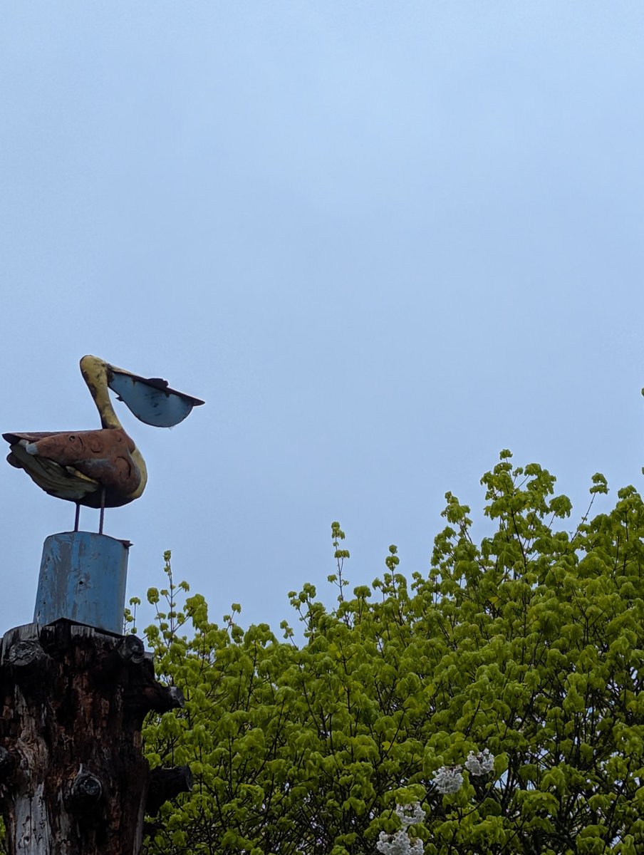 Shawty know I'm gay tweet media