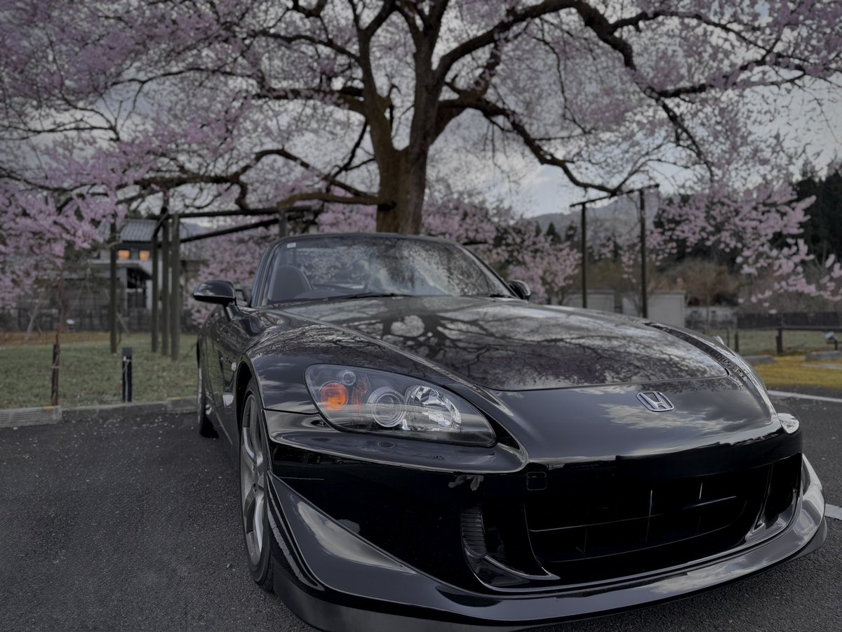 muimui_kuruma's tweet image. もっかい桜咲かないかな

 #S2000
 #TypeS