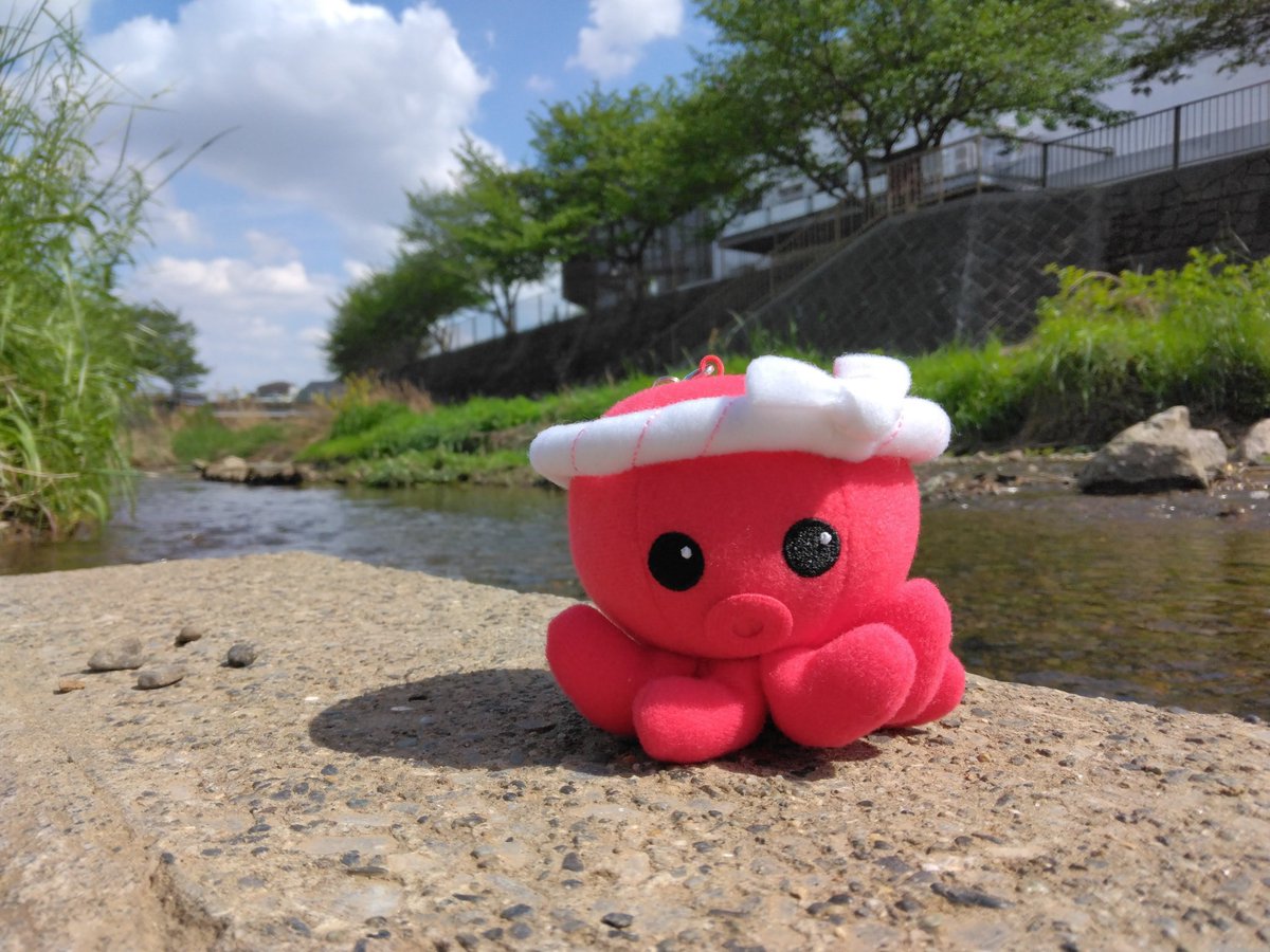 モーモー tweet media