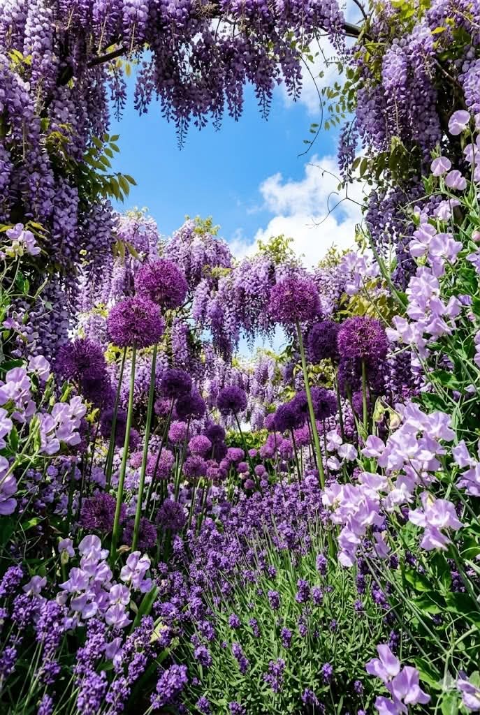 Alice_Vogue's tweet image. #HEALING #CALM #RELAX