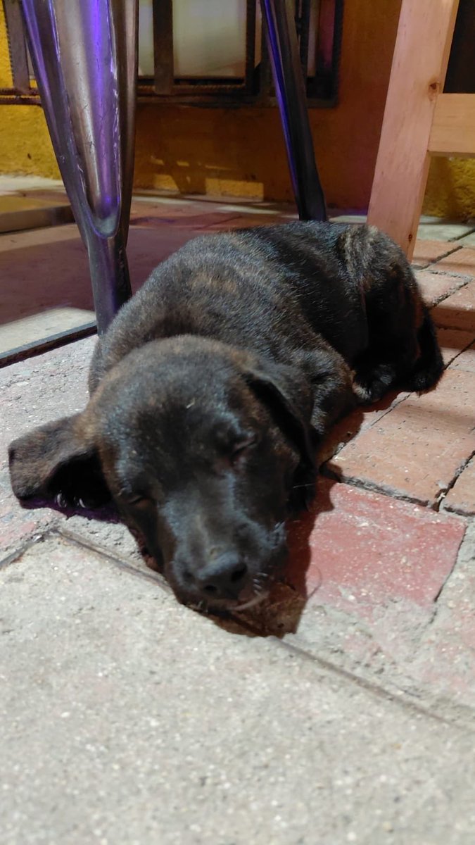 Bebé abandonado en el centro histórico en Santa Marta, si alguien sabe cómo ayudar avísenme 🙏🏻🥹