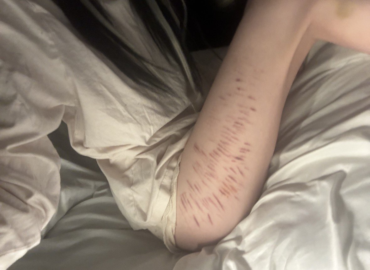 jamie ♪‧₊˚ tweet media