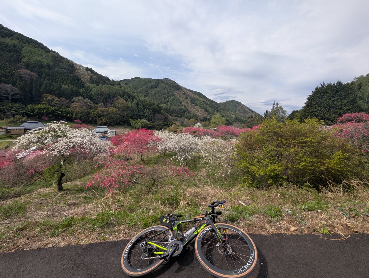 トドロキサイクルプラザ tweet media