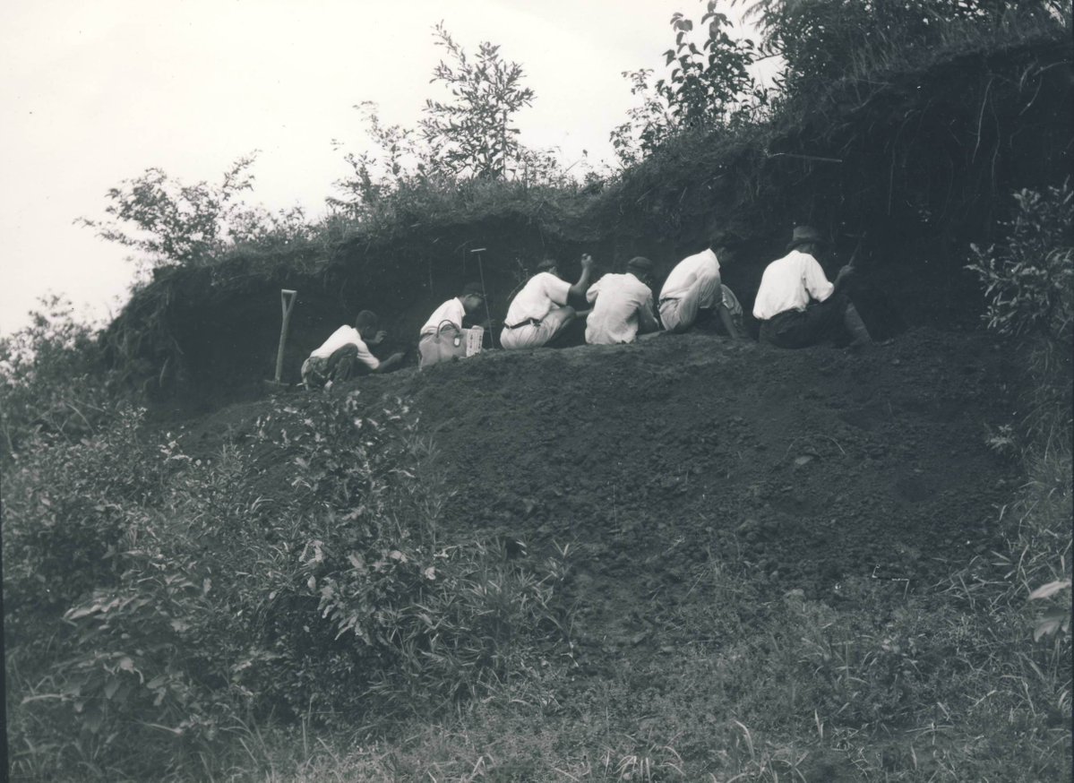 明治大学博物館（Meiji University Museum） tweet media