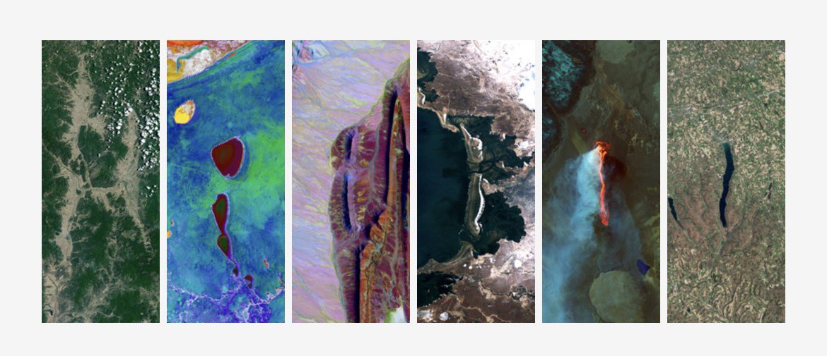 Max 🌺 tweet media