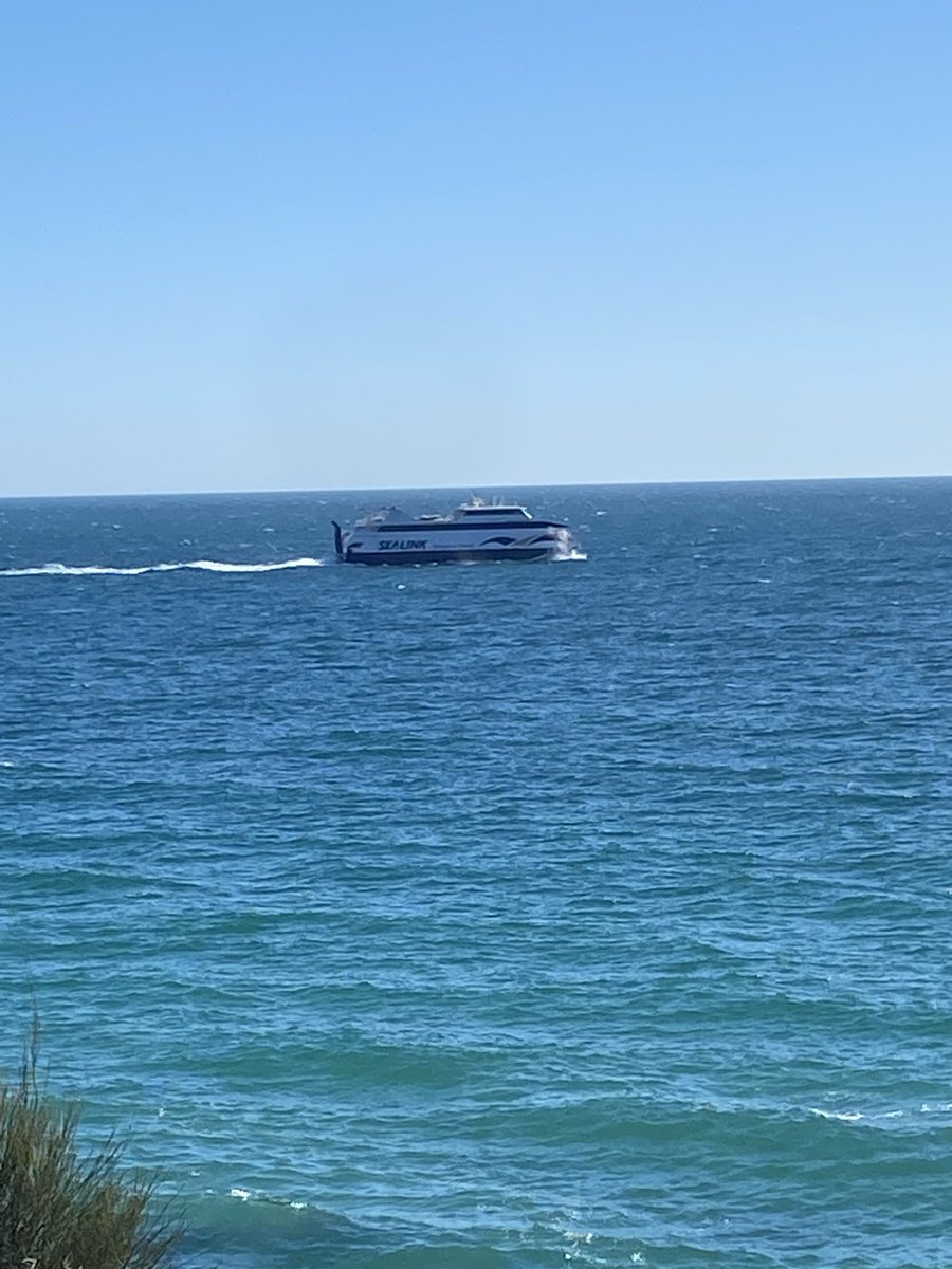 Maureen Hill tweet media