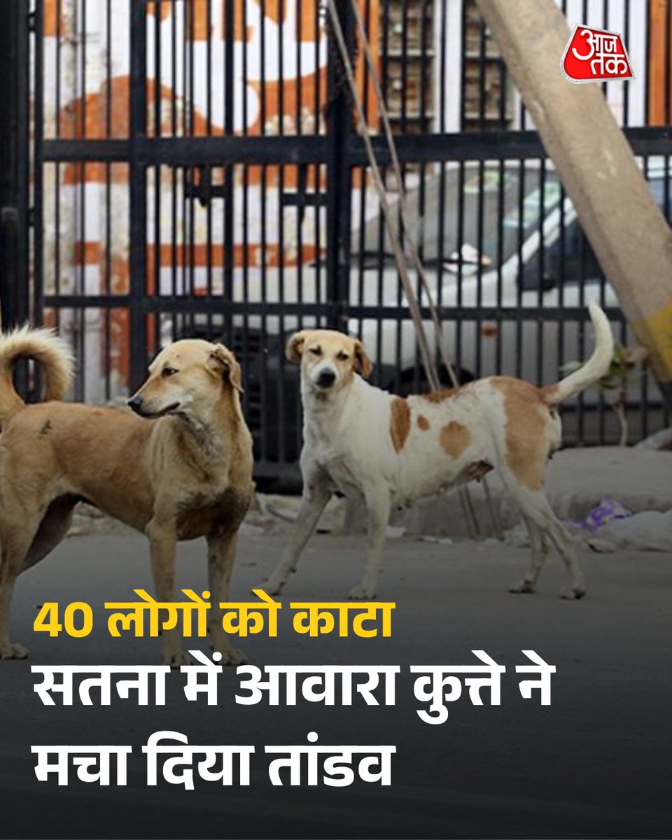 मध्य प्रदेश के सतना में एक सनसनीखेज घटना सामने आई है. यहां एक आवारा कुत्ते ने शहर के अलग-अलग इलाकों में लोगों पर अटैक कर दिया. इसमें करीब 40 लोग घायल हो गए, जिन्हें तत्काल इलाज के लिए सतना के जिला अस्पताल में भर्ती कराया गया. सभी घायलों का इलाज चल रहा है. उन्हें एंटी-रेबीज