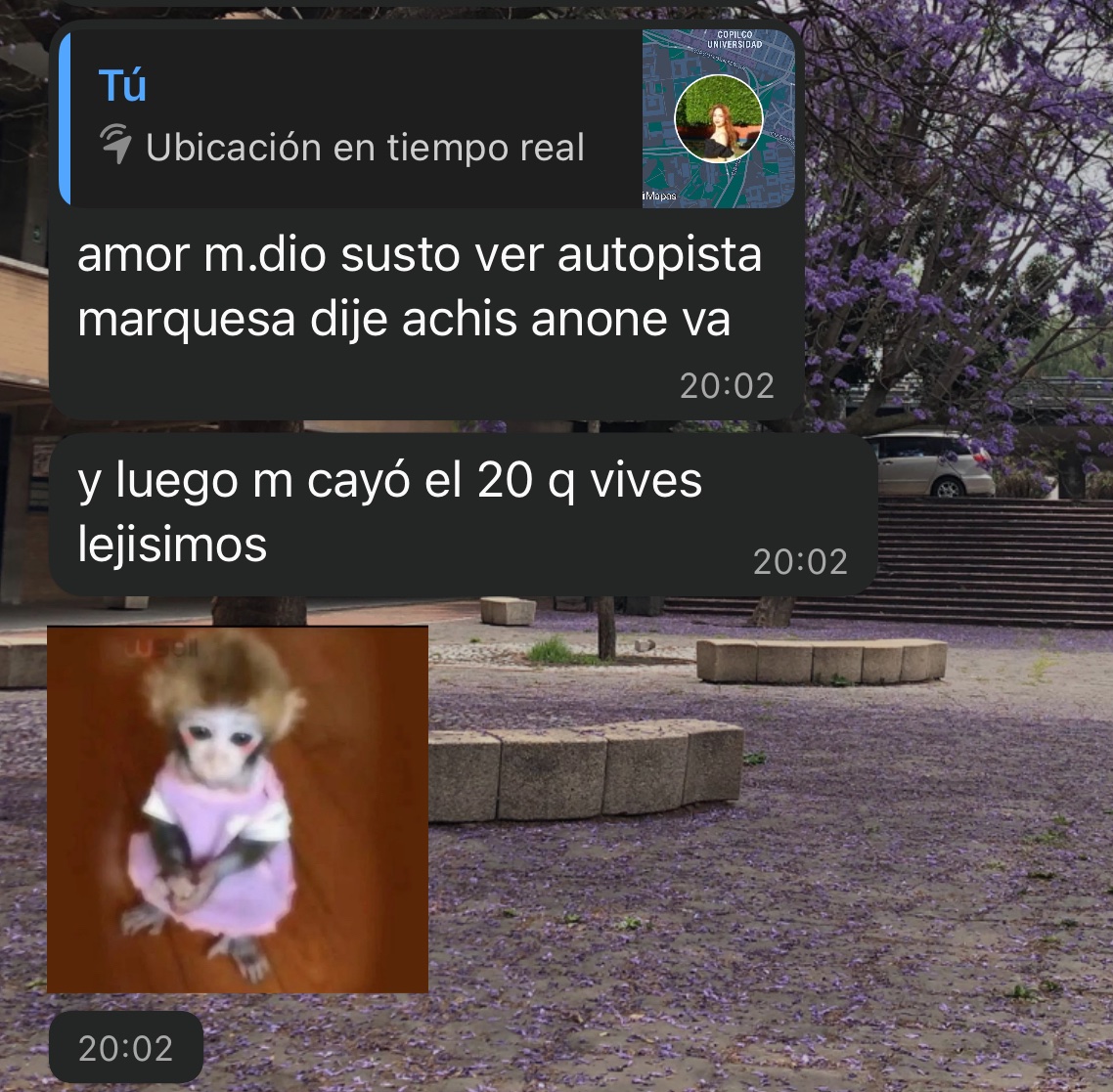 JAJDJSJS