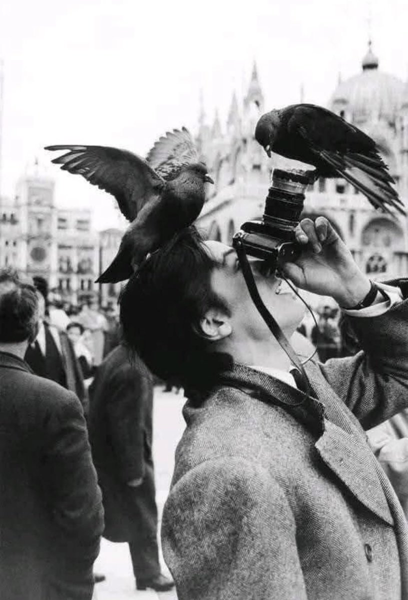 Linda Fritz tweet media