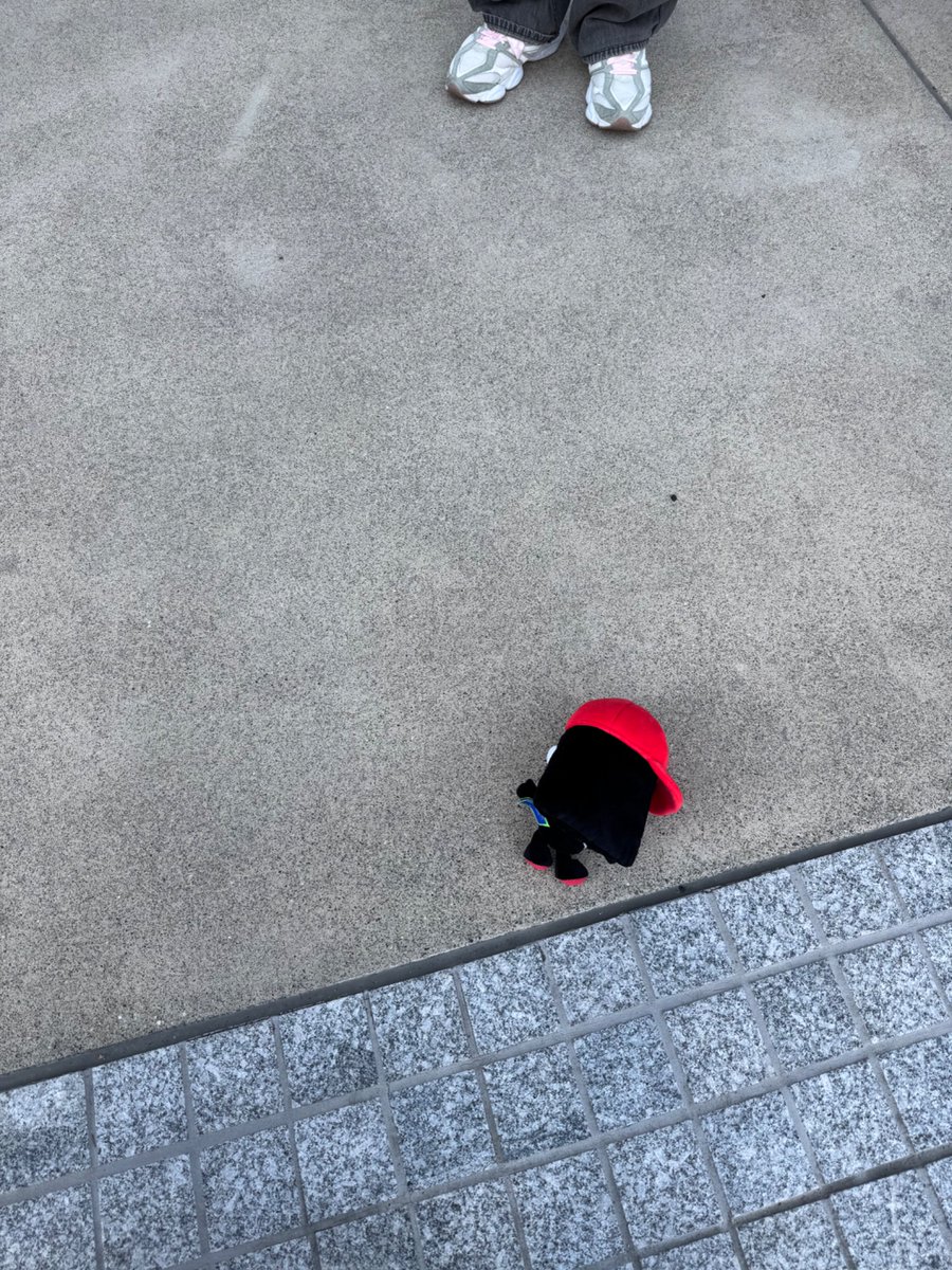 ❤️ jamie p! 💚 tweet media