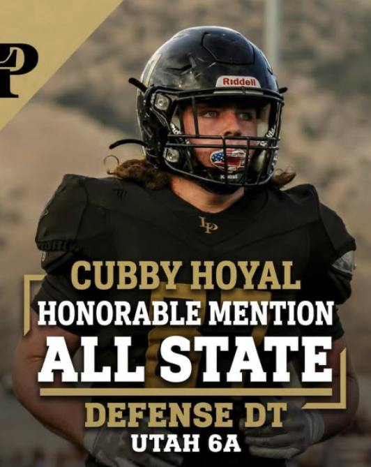 Cubby Hoyal tweet media