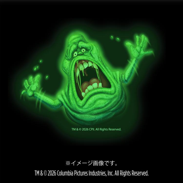 スパイダーウェブ tweet media