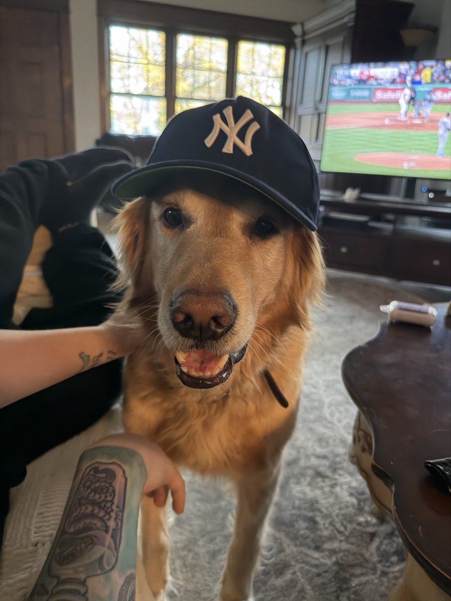 LiterBoxWarrior's tweet image. #we will be watching