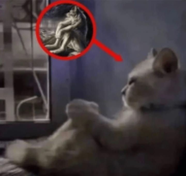 yves w. love 𖦹 (-2/-12) tweet media