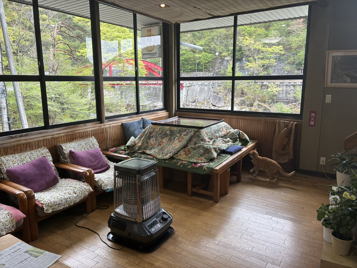 きゅりきゅり tweet media