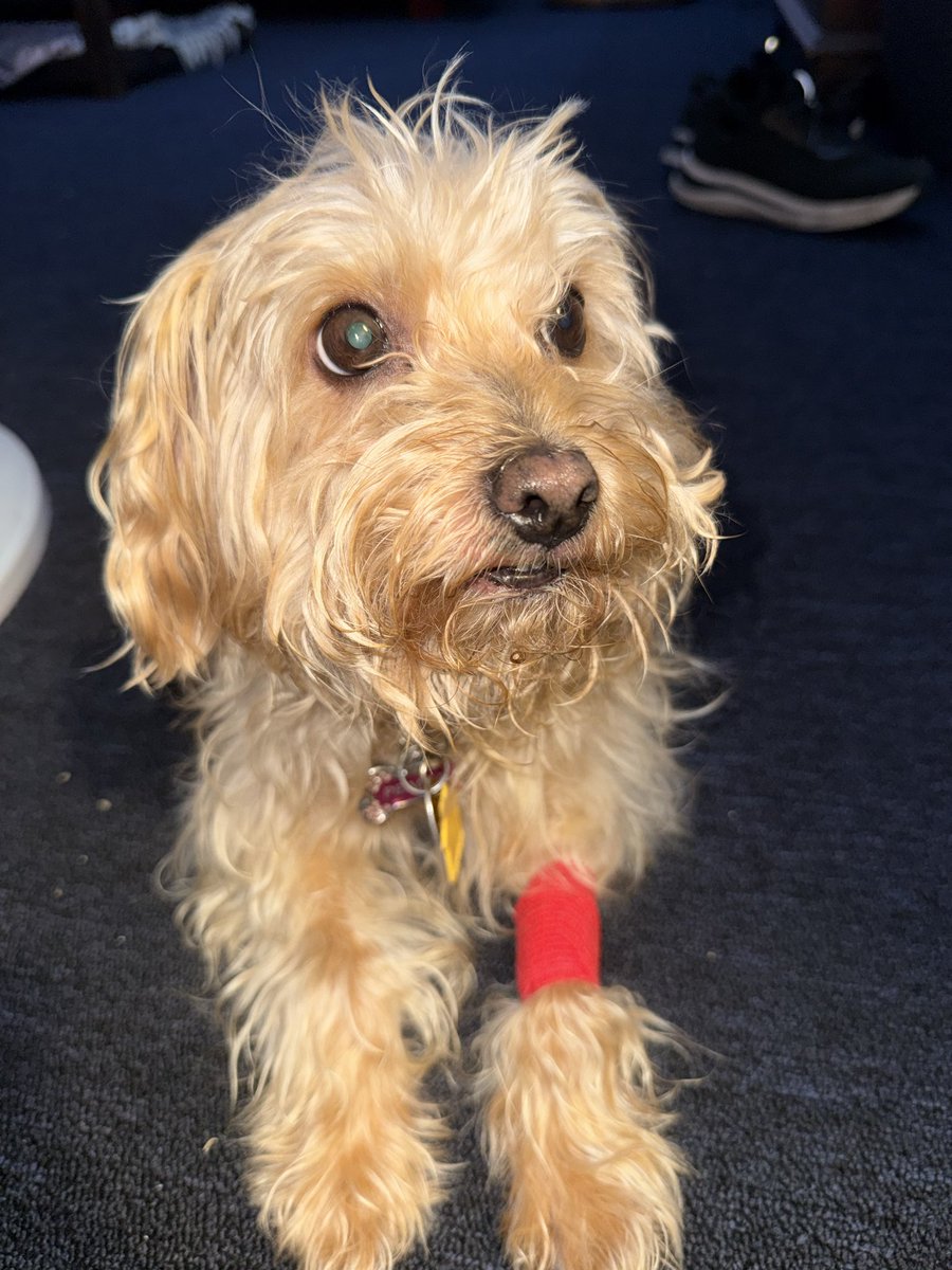 underscores bisexual latina sister tweet media