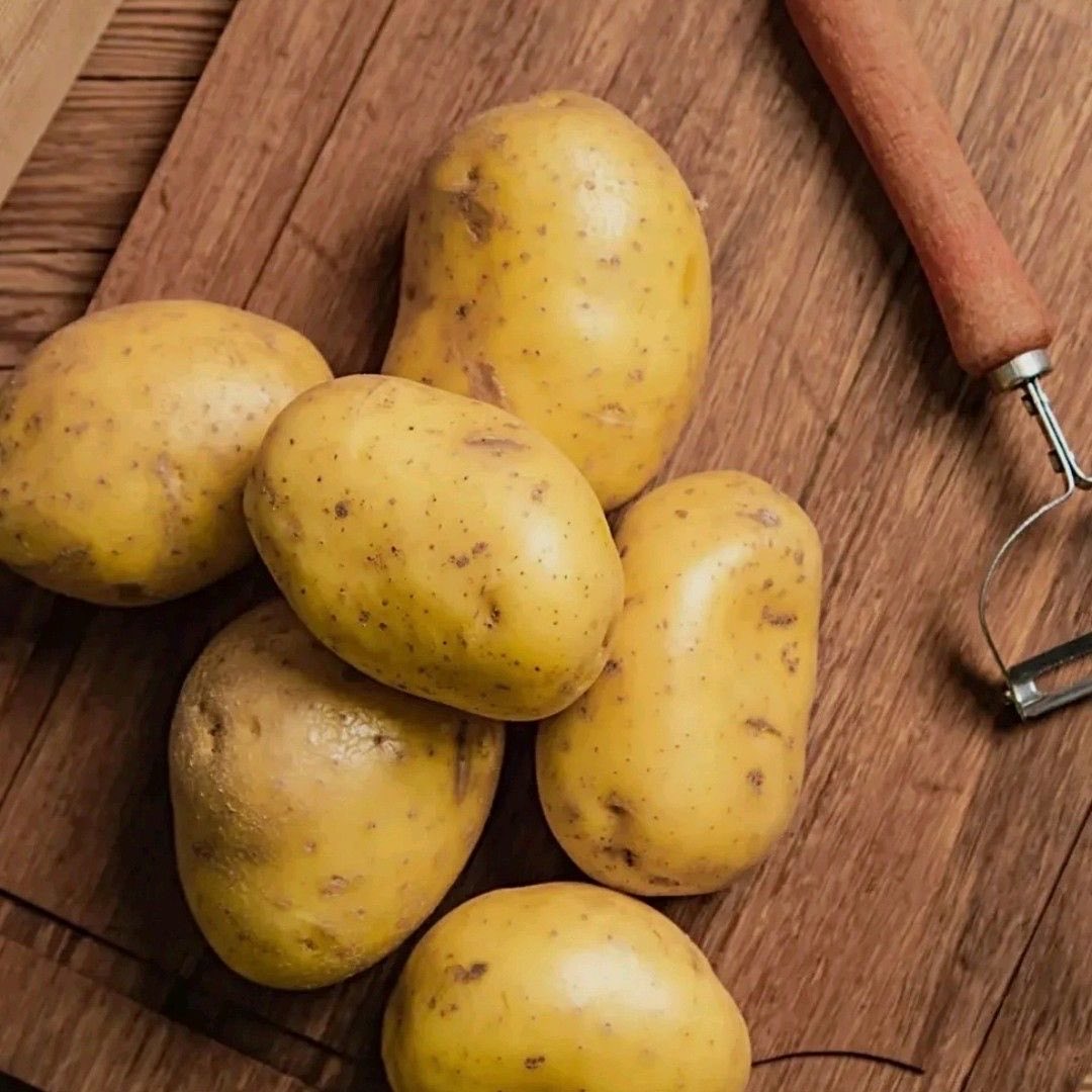 𝑮𝒂𝒉 𝑩𝒍𝒂𝒏𝒄𝒐 ⚡︎ tweet media