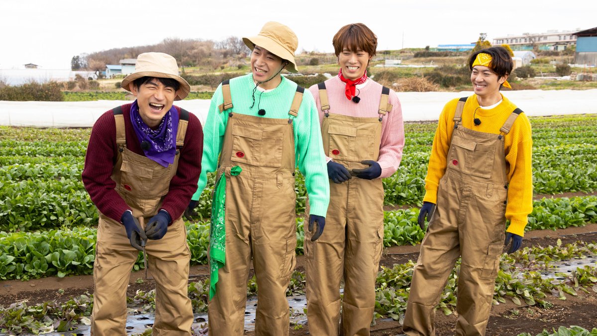 日テレプラス tweet media