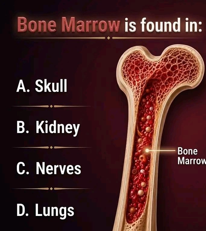 Doctor Med tweet media
