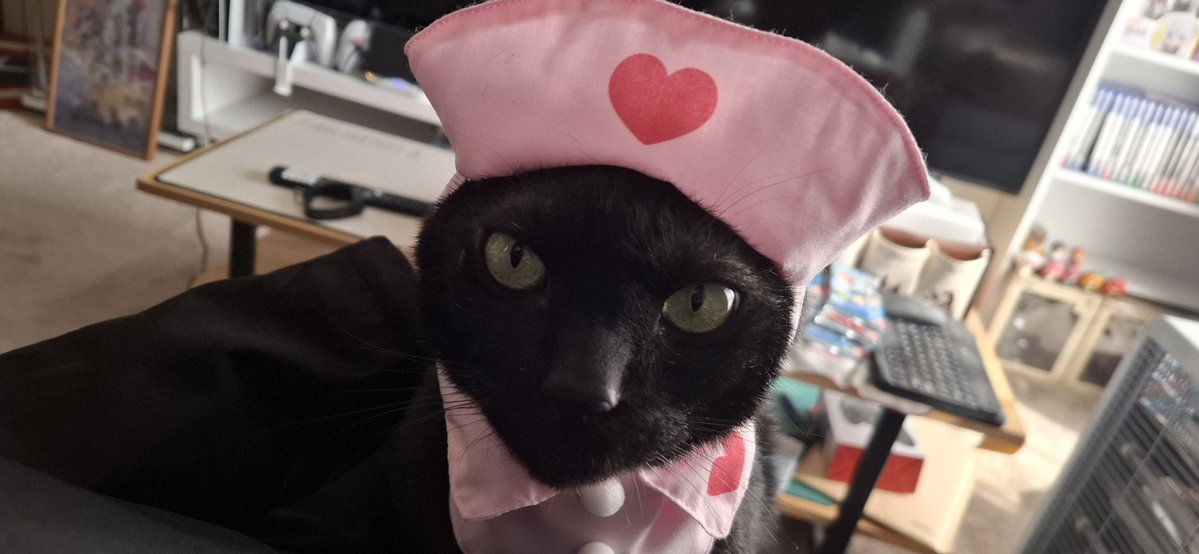 mimihime tweet media